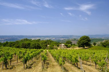 Orvieto ülke yataydan Todi, Umbria, İtalya