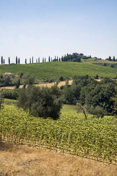 Τοπίο στην umbria, κοντά σε todi — Φωτογραφία Αρχείου