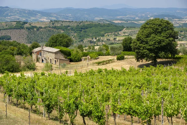 Venkovská krajina z Orvieta, Todi, Itálie — Stock fotografie