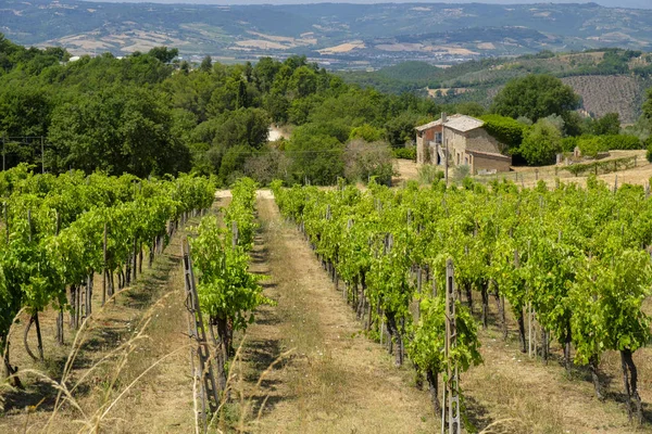 Краєвид країни від Орвієто на Todi, Умбрія, Італія — стокове фото