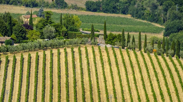 Land landschap van Orvieto, Umbrië, Italië — Stockfoto
