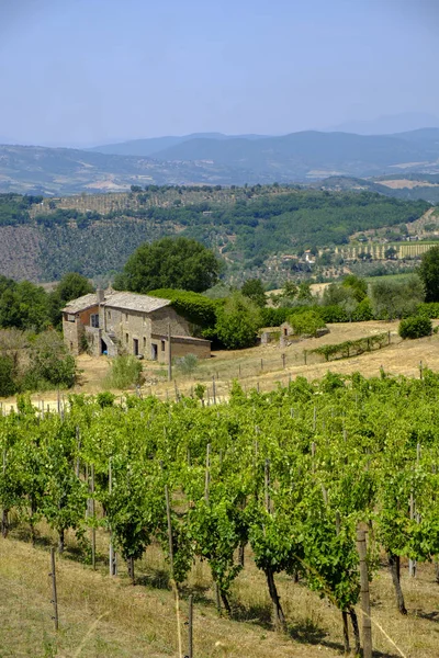 Venkovská krajina z Orvieta, Todi, Itálie — Stock fotografie