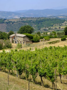 Orvieto ülke yataydan Todi, Umbria, İtalya