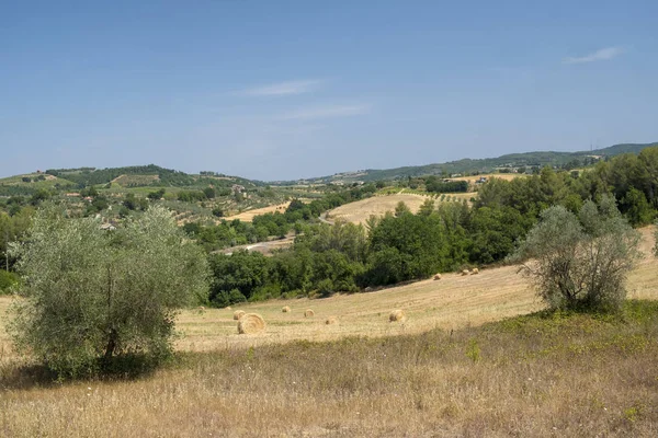 Venkovská krajina z Orvieta, Todi, Itálie — Stock fotografie