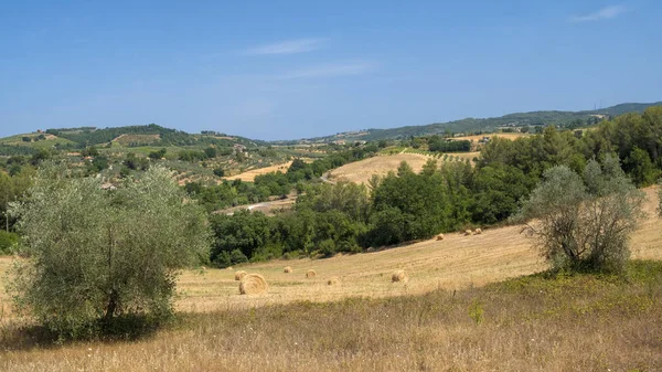 乡村景观从奥维多到托迪, 翁布里亚, 意大利 — 图库照片