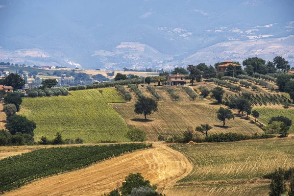 Paesaggio in Umbria d'estate — Foto Stock