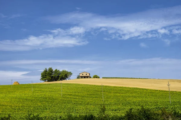 Krajina v Umbrii na léto — Stock fotografie