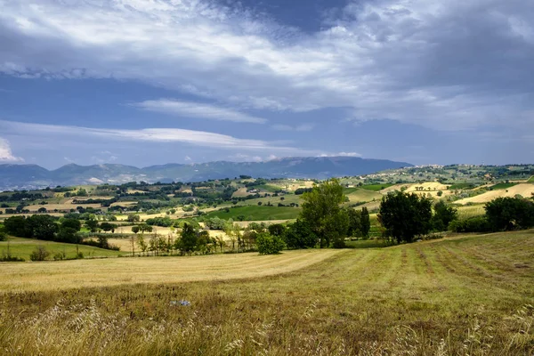 Landskapet i Umbrien på sommaren — Stockfoto