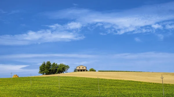 Krajina v Umbrii na léto — Stock fotografie