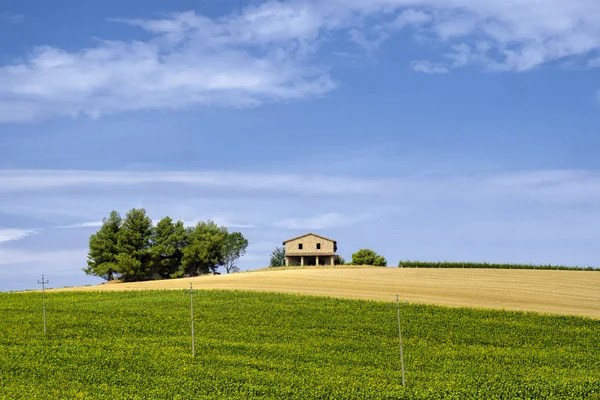 Paysage en Ombrie en été — Photo