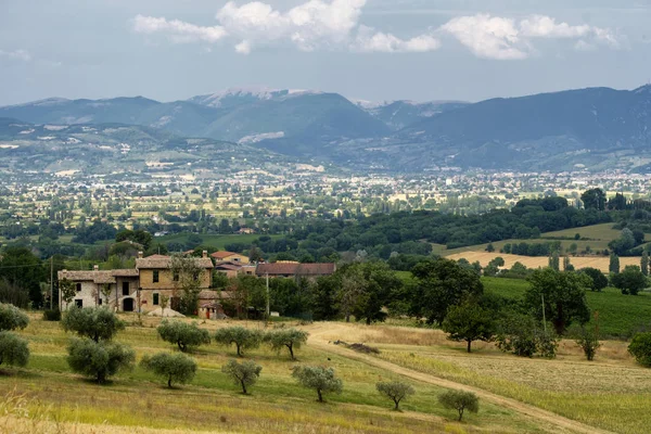 Landscape in Umbria at summer — Stock Photo, Image