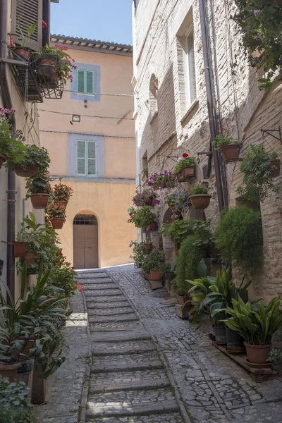 Spello, Perugia, ciudad medieval — Foto de Stock