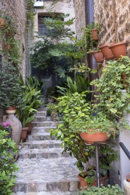 Spello, Perugia, ortaçağ şehir