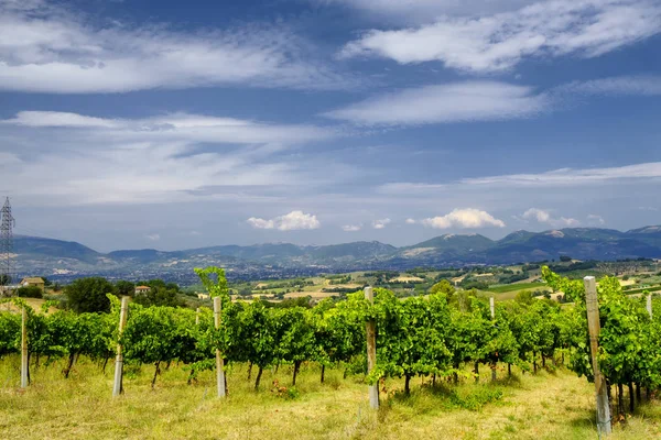 Krajobraz w Umbrii, na lato — Zdjęcie stockowe