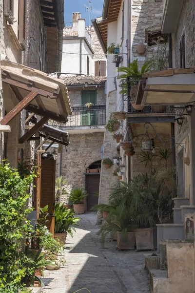 Spello, Perugia, medieval city — Stock Photo, Image