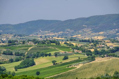Umbria içinde yaz manzara