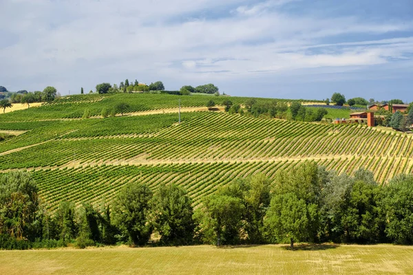 Landschaft in Umbrien im Sommer — Stockfoto