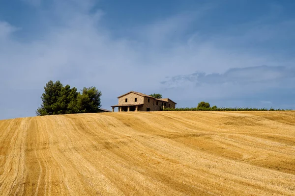 Paisaje en Umbría en verano — Foto de Stock