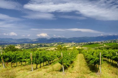 Umbria içinde yaz manzara
