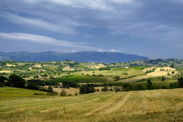 Paisaje en Umbría en verano —  Fotos de Stock