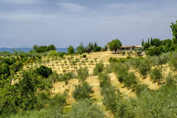 Paisaje en Umbría en verano —  Fotos de Stock