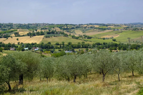 Krajina v Umbrii na léto — Stock fotografie