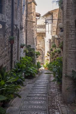 Spello, Perugia, ortaçağ şehir