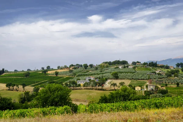 Paisaje en Umbría en verano — Foto de Stock