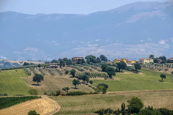 Paisaje en Umbría en verano — Foto de Stock