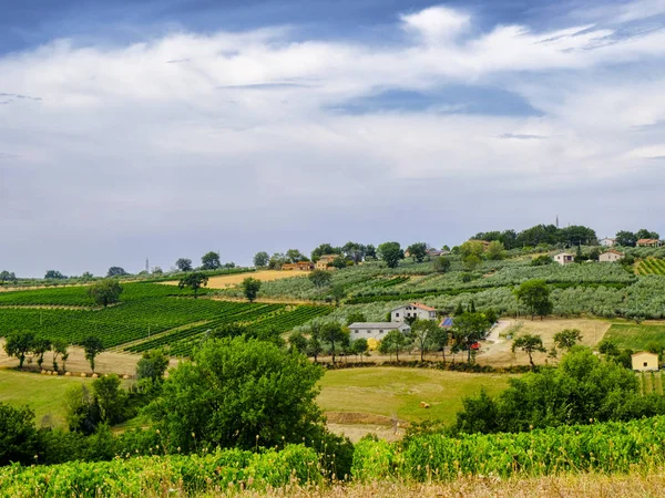 Paysage en Ombrie en été — Photo