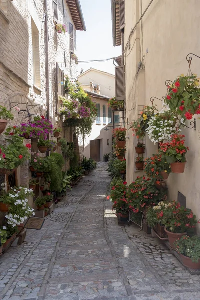 Spello, Perugia, středověké město — Stock fotografie