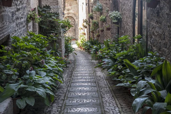 Spello, perugia, mittelalterliche stadt — Stockfoto