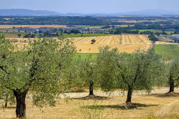 Paesaggio estivo vicino Perugia — Foto Stock