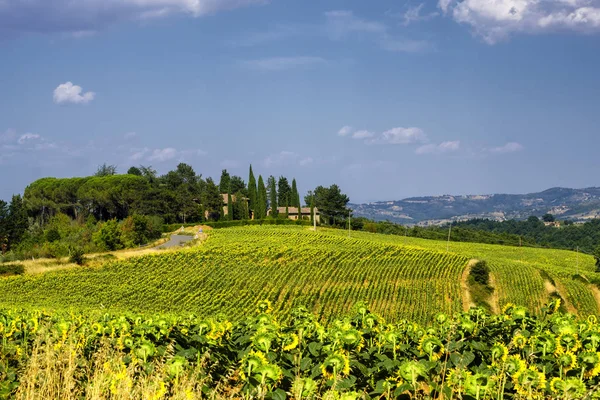 Paisaje de verano cerca de Citta della Pieve — Foto de Stock