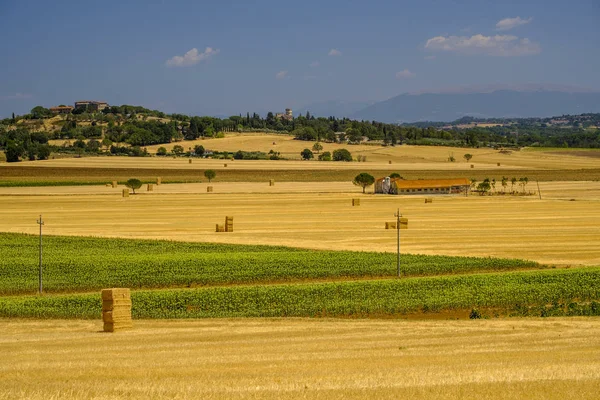 Paisaje de verano cerca de Perugia — Foto de Stock