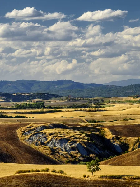 Asciano yakınındaki yaz manzara — Stok fotoğraf