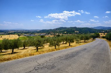 Yaz manzara Perugia yakınında