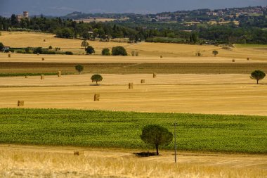 Yaz manzara Perugia yakınında