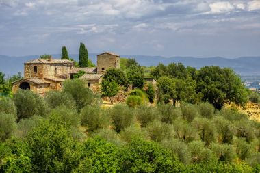 Montepulciano yakınındaki yaz manzara