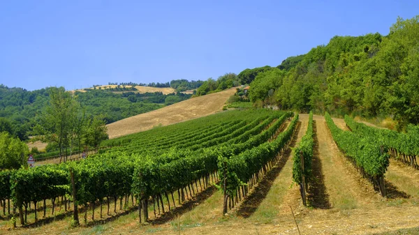 Krajobraz lato w pobliżu Chianciano i Montepulciano — Zdjęcie stockowe