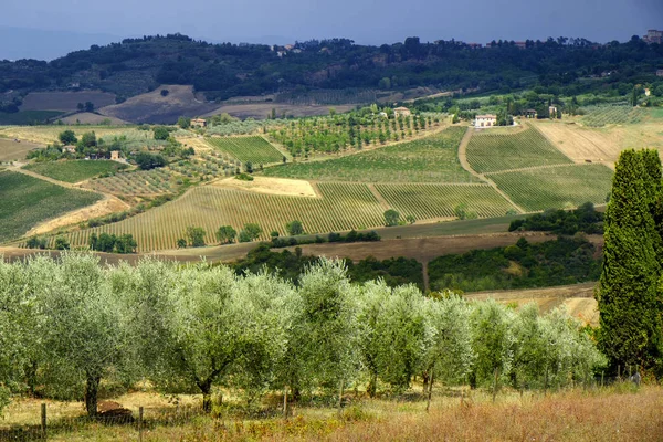 Krajobraz lato w pobliżu Montepulciano — Zdjęcie stockowe