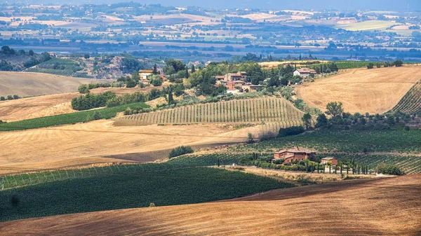 Sommarlandskap nära Montepulciano — Stockfoto