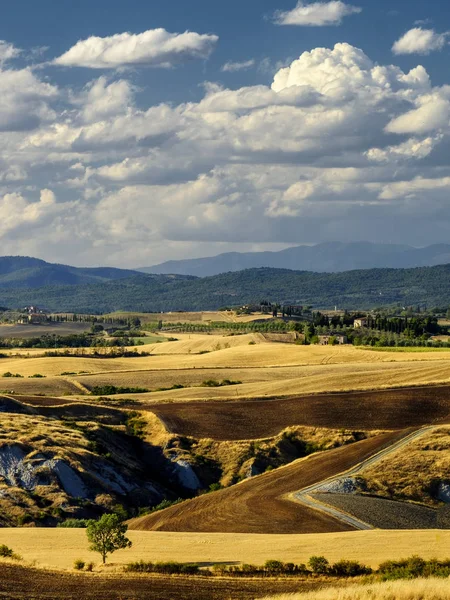 Summer landscape near Asciano Stock Photo