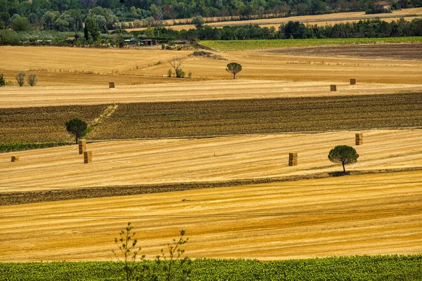 Paysage estival près de Pérouse — Photo