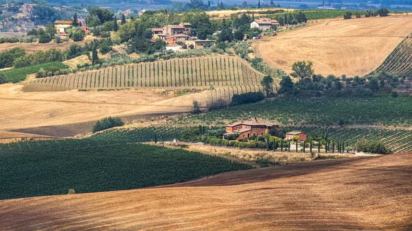 Letní krajina u Montepulciano — Stock fotografie