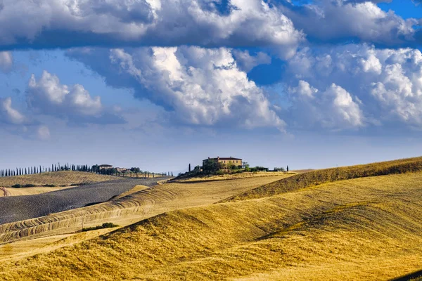 Asciano yakınındaki yaz manzara — Stok fotoğraf