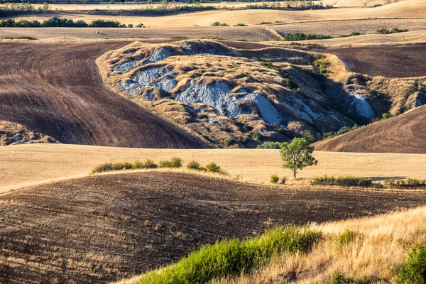 Summer landscape near Asciano — Stock Photo, Image