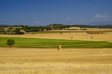 Yaz manzara Perugia yakınında