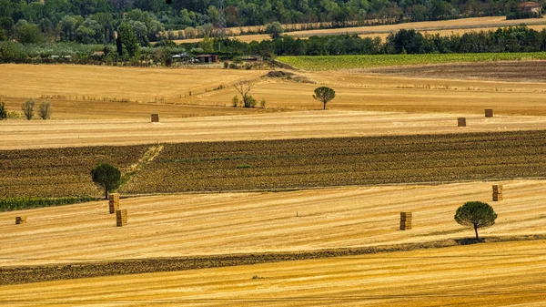 Sommerlandschaft bei Perugia — Stockfoto