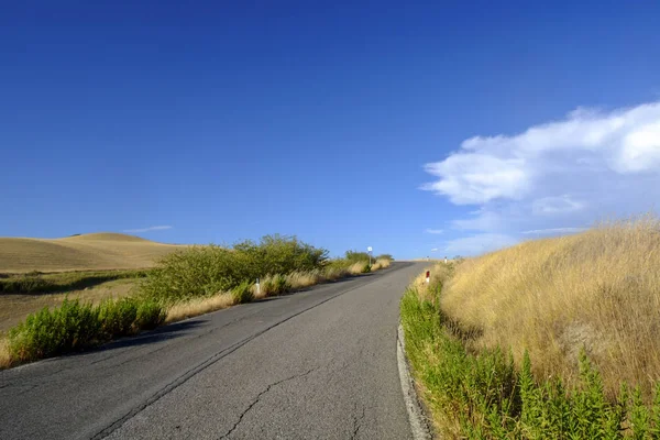 Summer landscape near Asciano — Stock Photo, Image